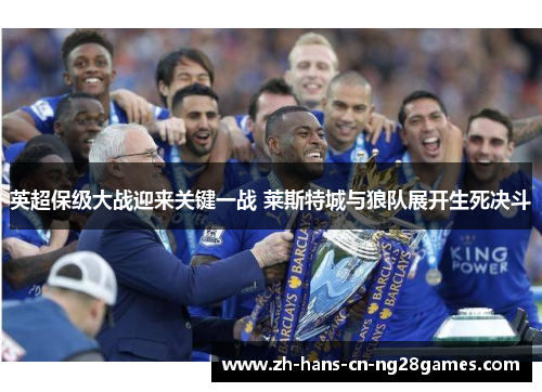 英超保级大战迎来关键一战 莱斯特城与狼队展开生死决斗