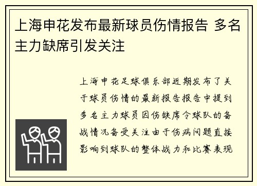 上海申花发布最新球员伤情报告 多名主力缺席引发关注
